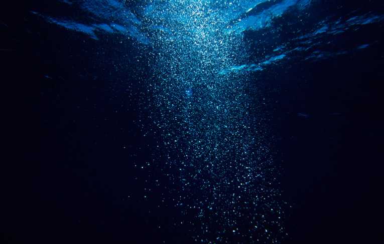 Deep Ocean Larvae Hitch Ride On Powerful Eddies Nature The Earth