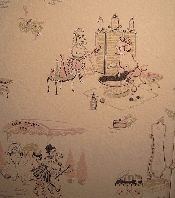 Retro Pink Poodle Wallpaper Nifty Vintage