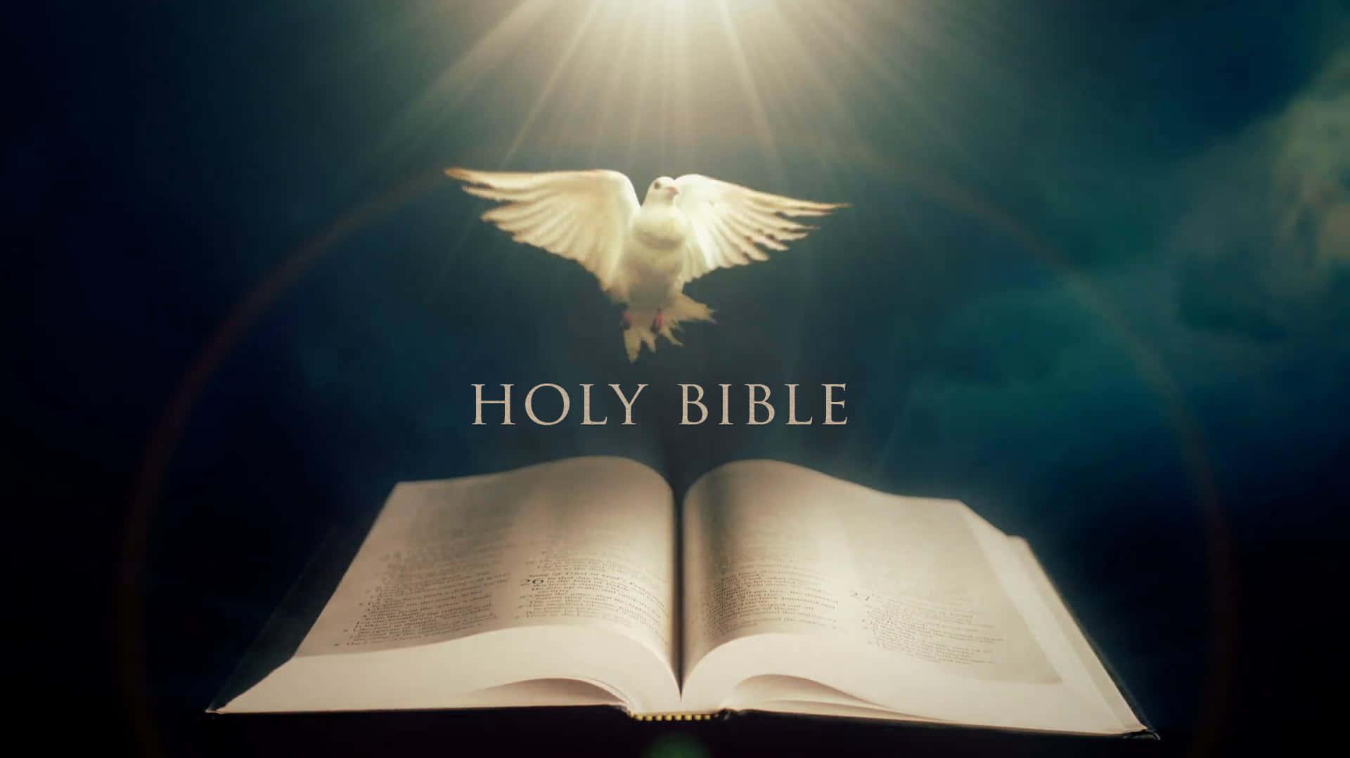 Free Holy Bible Background [100] Holy Bible Background s for