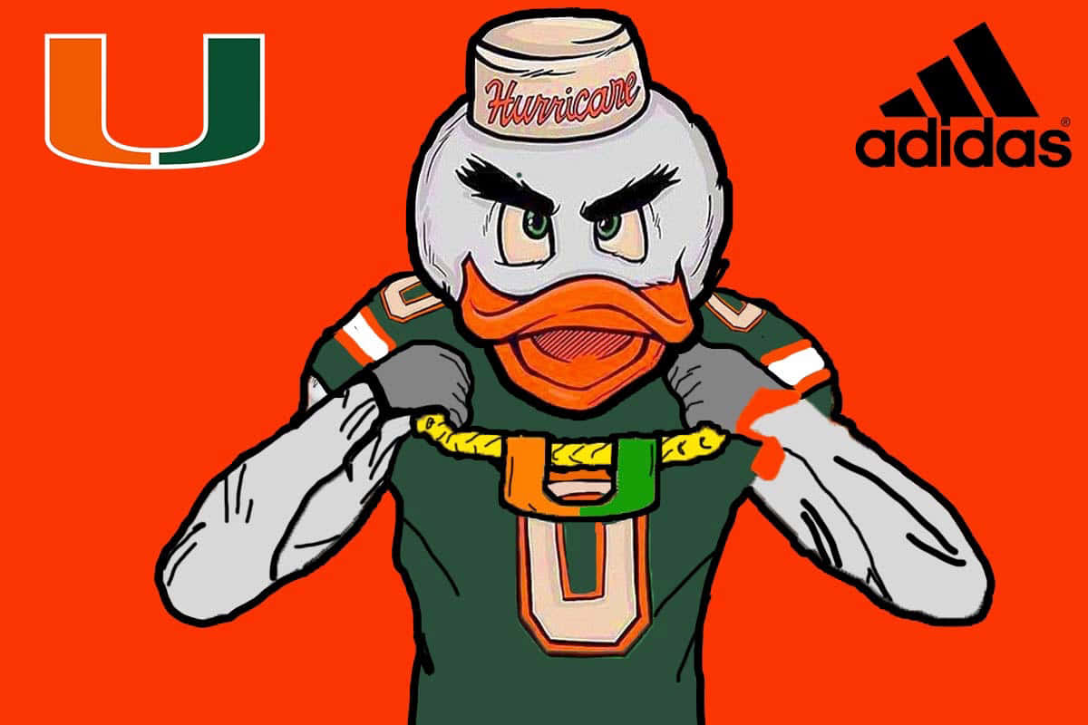 Miami Hurricanes Wallpaper