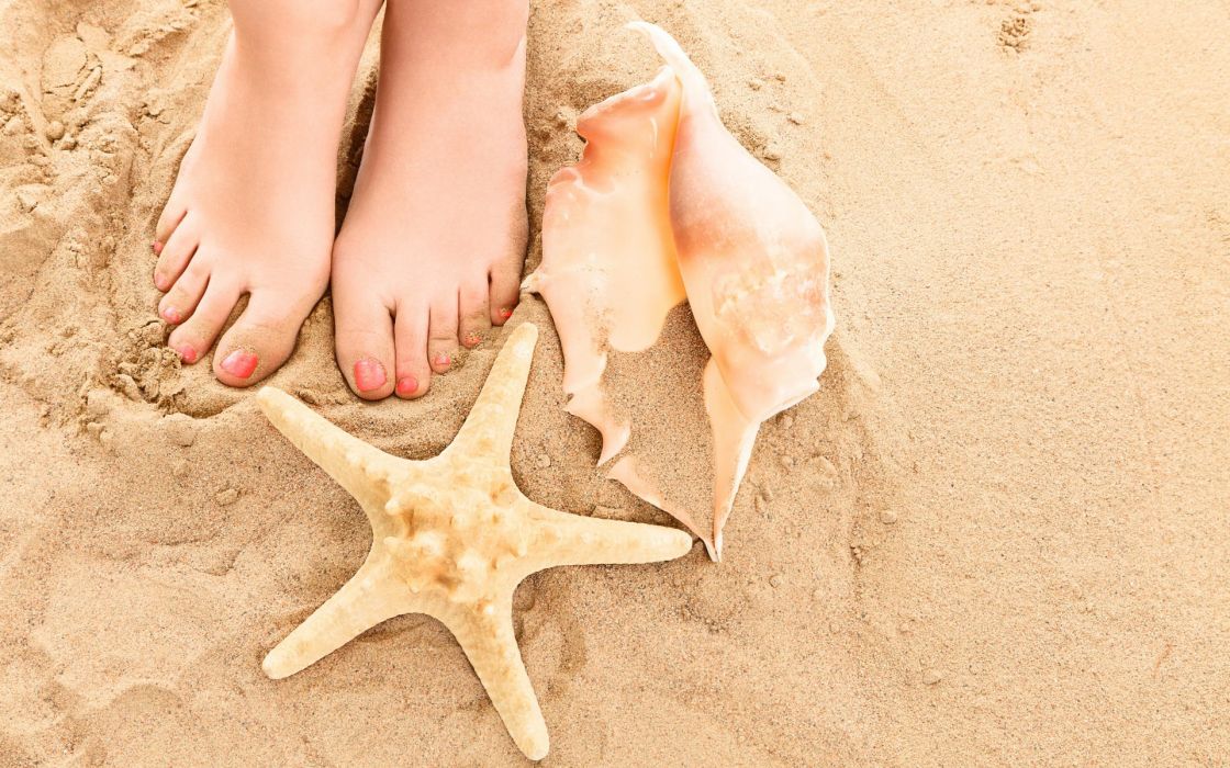 Seashells Beach Legs Summer Sand Shells Toes Feet Starfish Women