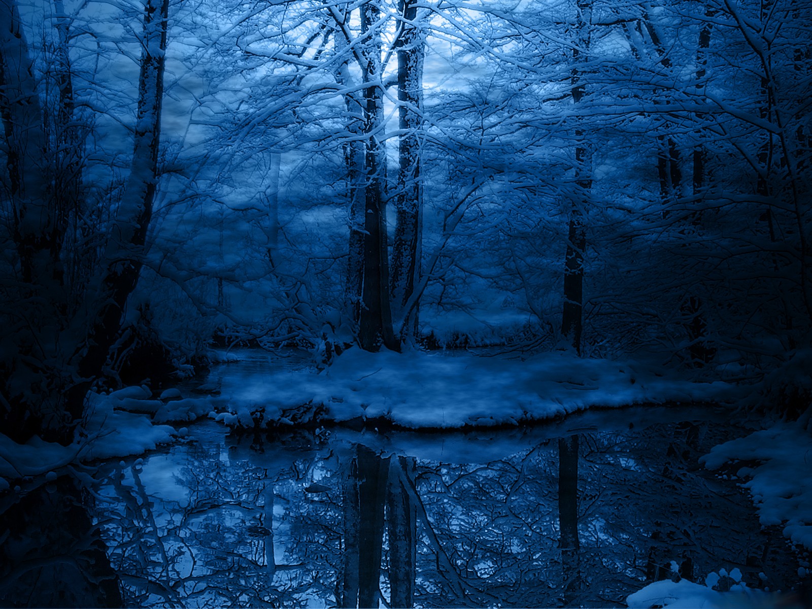 Creepy Snowy Forest Wallpaper Background