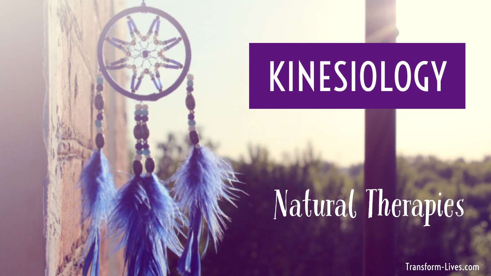How To Unlock Your Health With Kinesiology Transform Lives