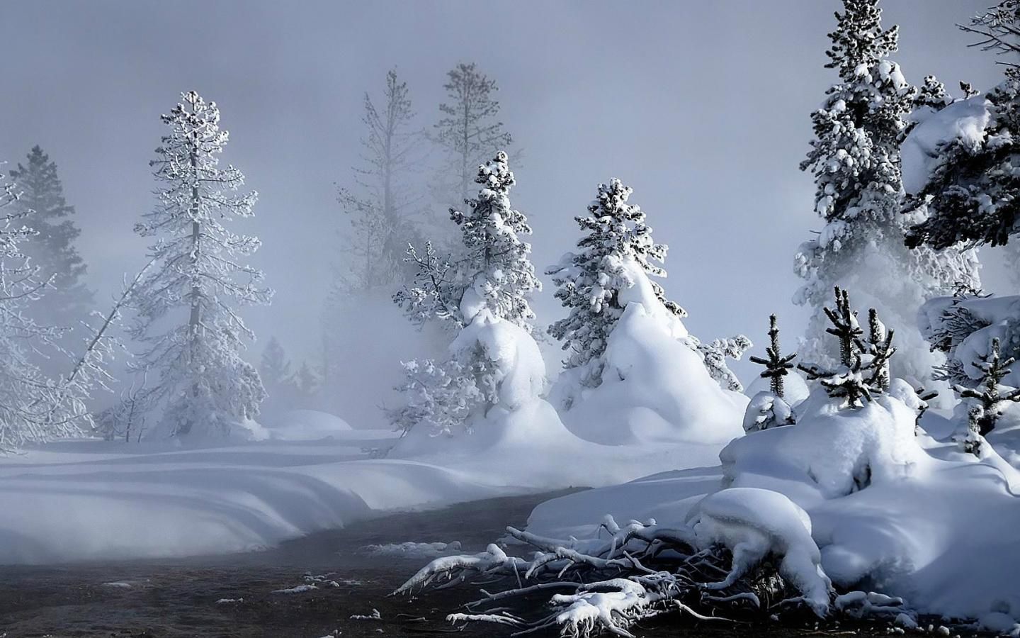 Snowfall Beautiful Wallpaper Zephyr Hills