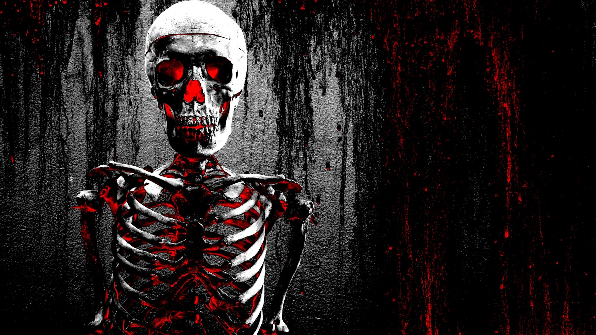 Skeleton Body Wallpaper HD Baltana