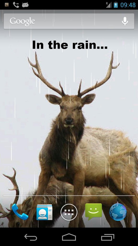 Deer Hunting Live Wallpaper Screenshot