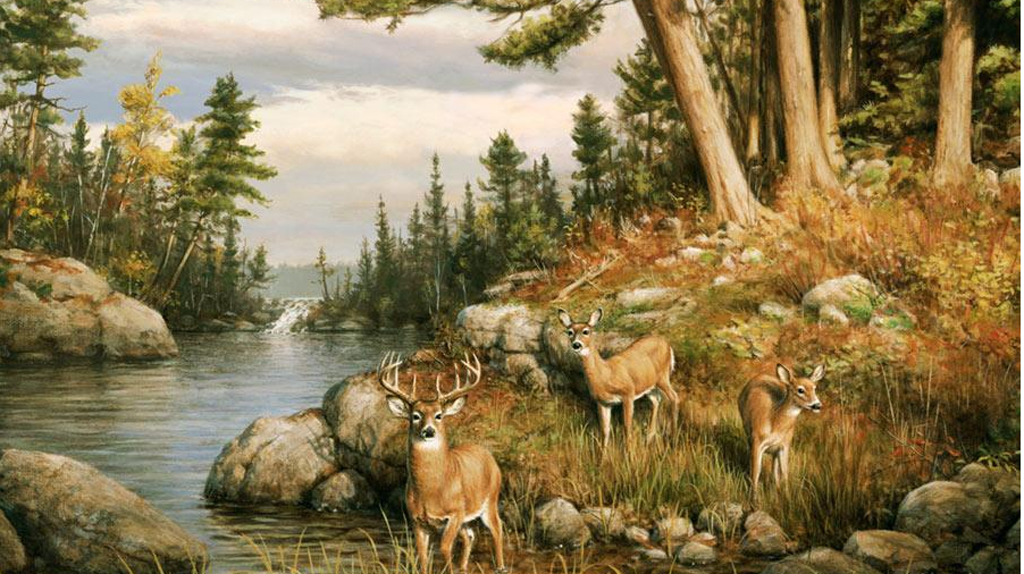 Hunting And Fishing Background