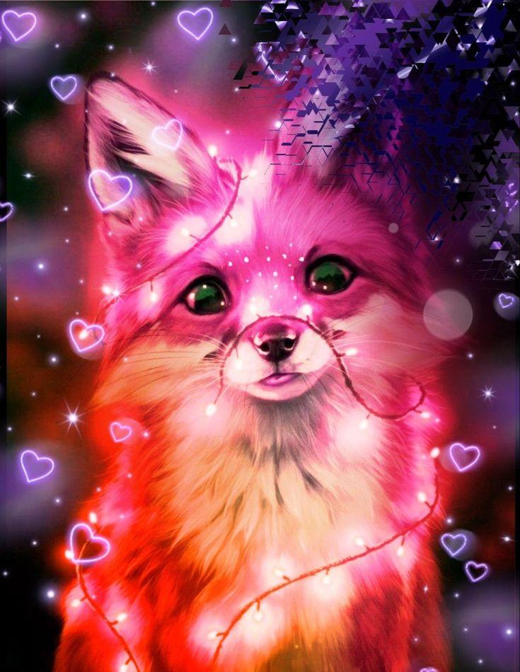 The Fox Cute Animal Drawings Photos