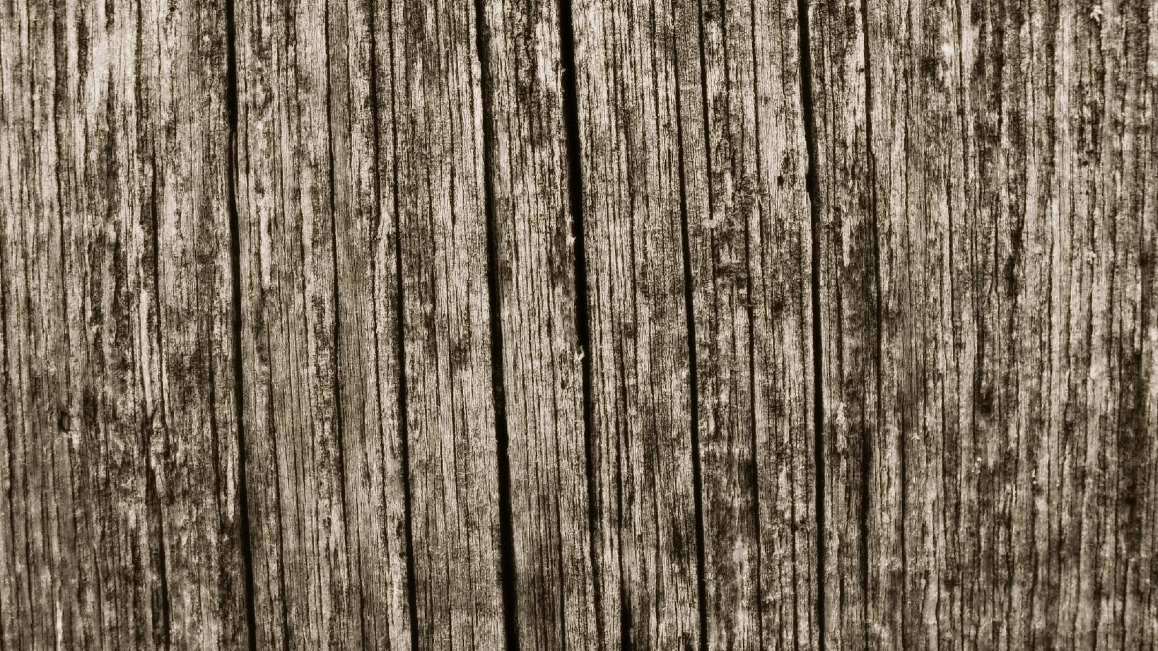 Wood Backgrouns