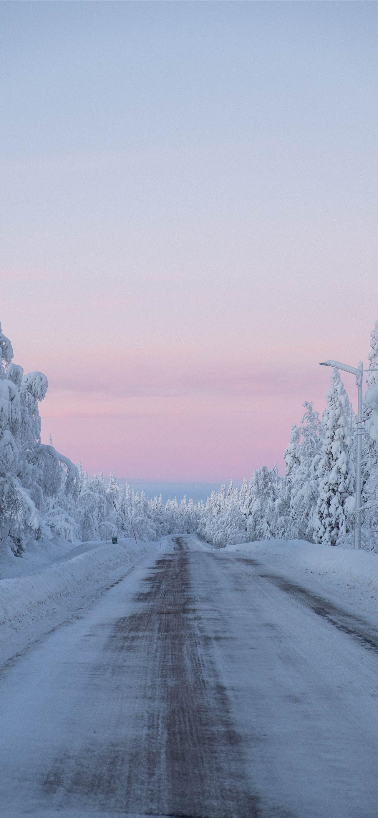 Snow Covered Trees And Road During Daytime iPhone Wallpaper