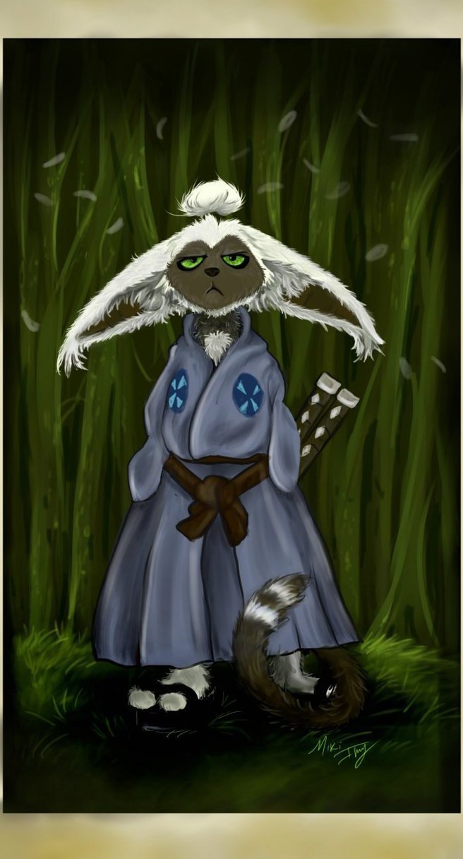 Get It Momo Xd Avatar The Last Airbender Photo