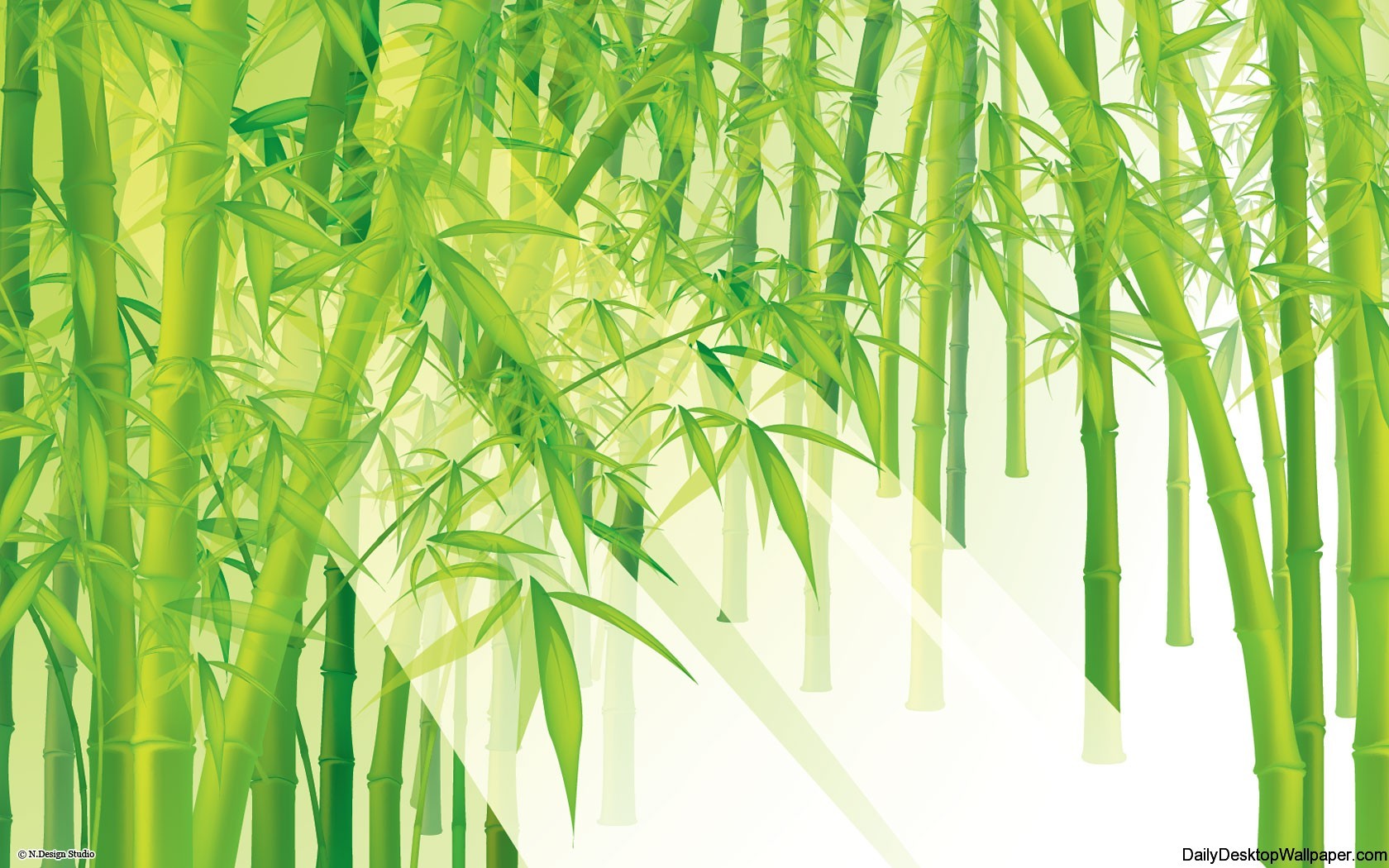 High Resolution Bamboo Wallpaper