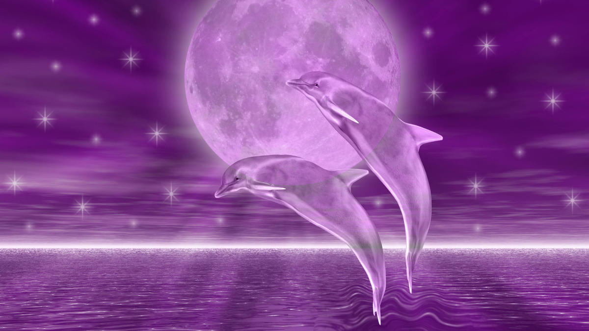 Dolphins HD Wallpaper Background For Android