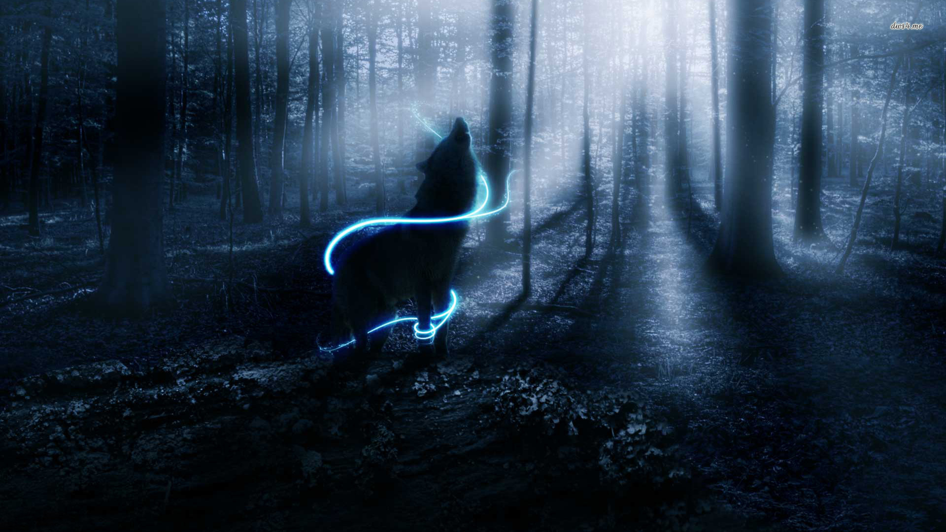 Lupo Wallpaper Lupi