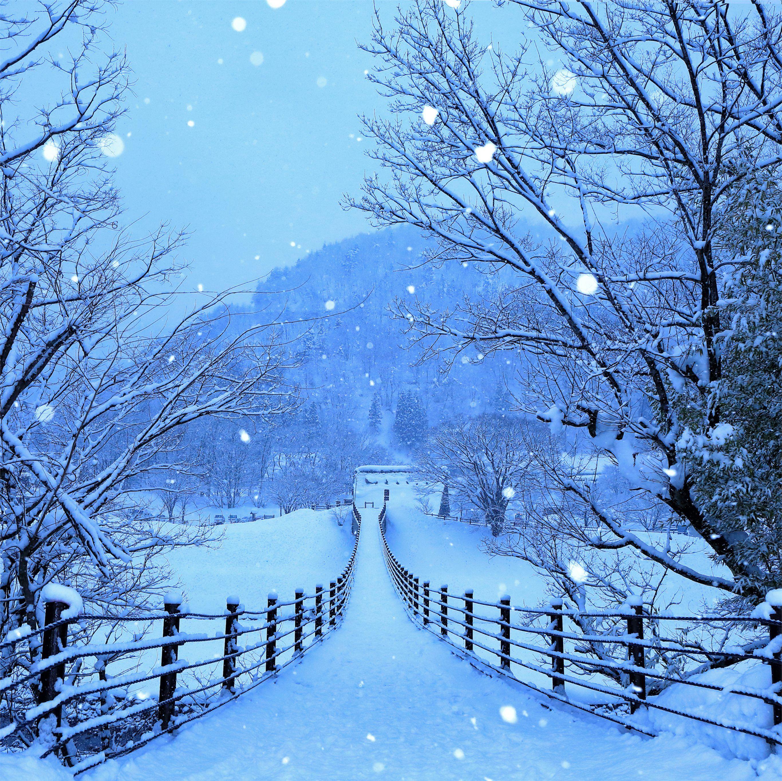 Winter Roads Of Japan 4k Nature