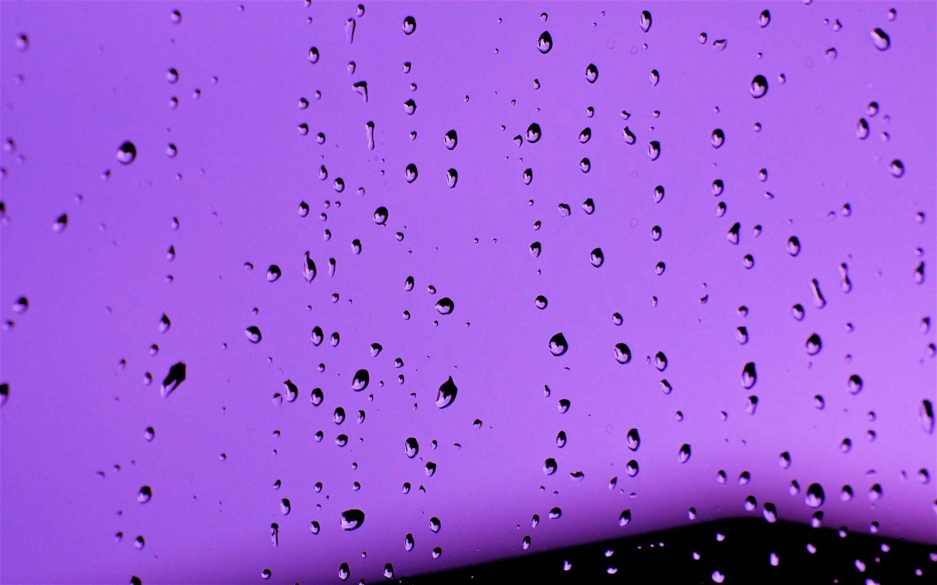 Purple Water Wallpaper Drops Condensation