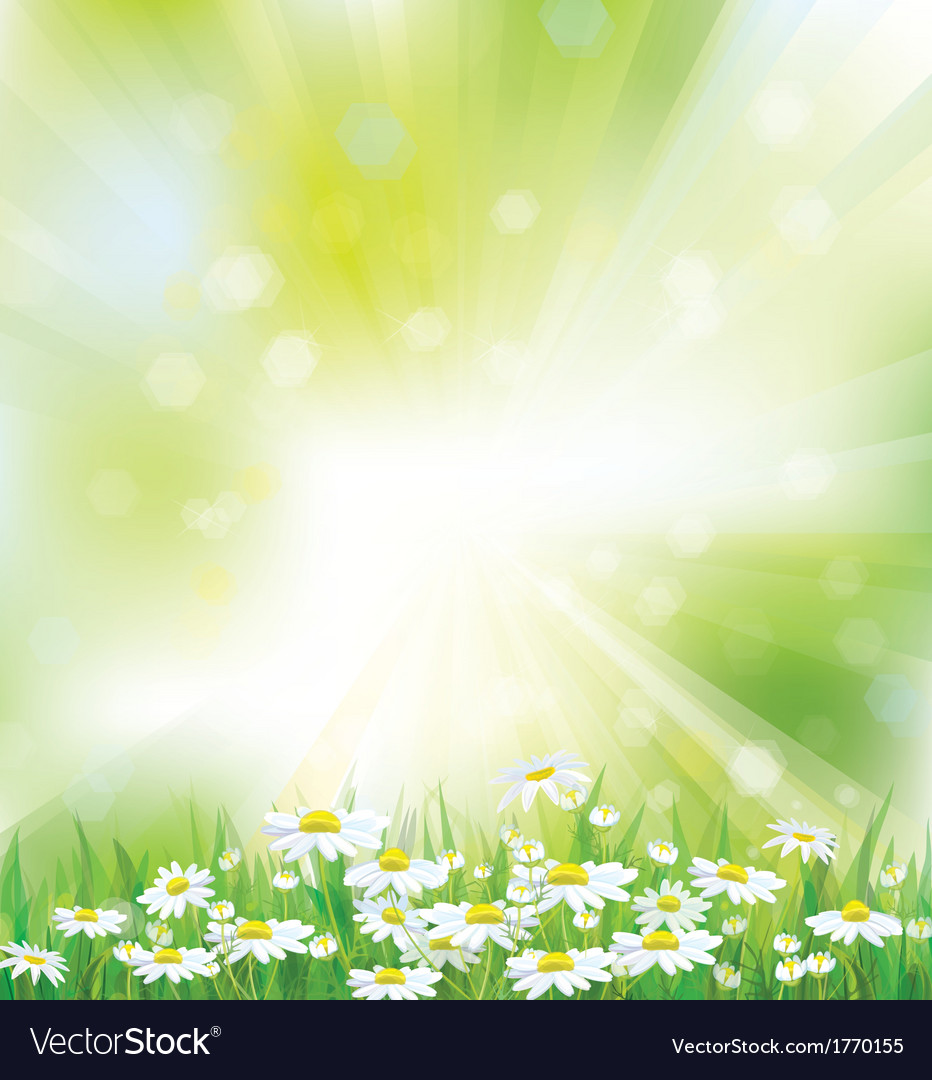 Spring Background Flowers Royalty Vector Image