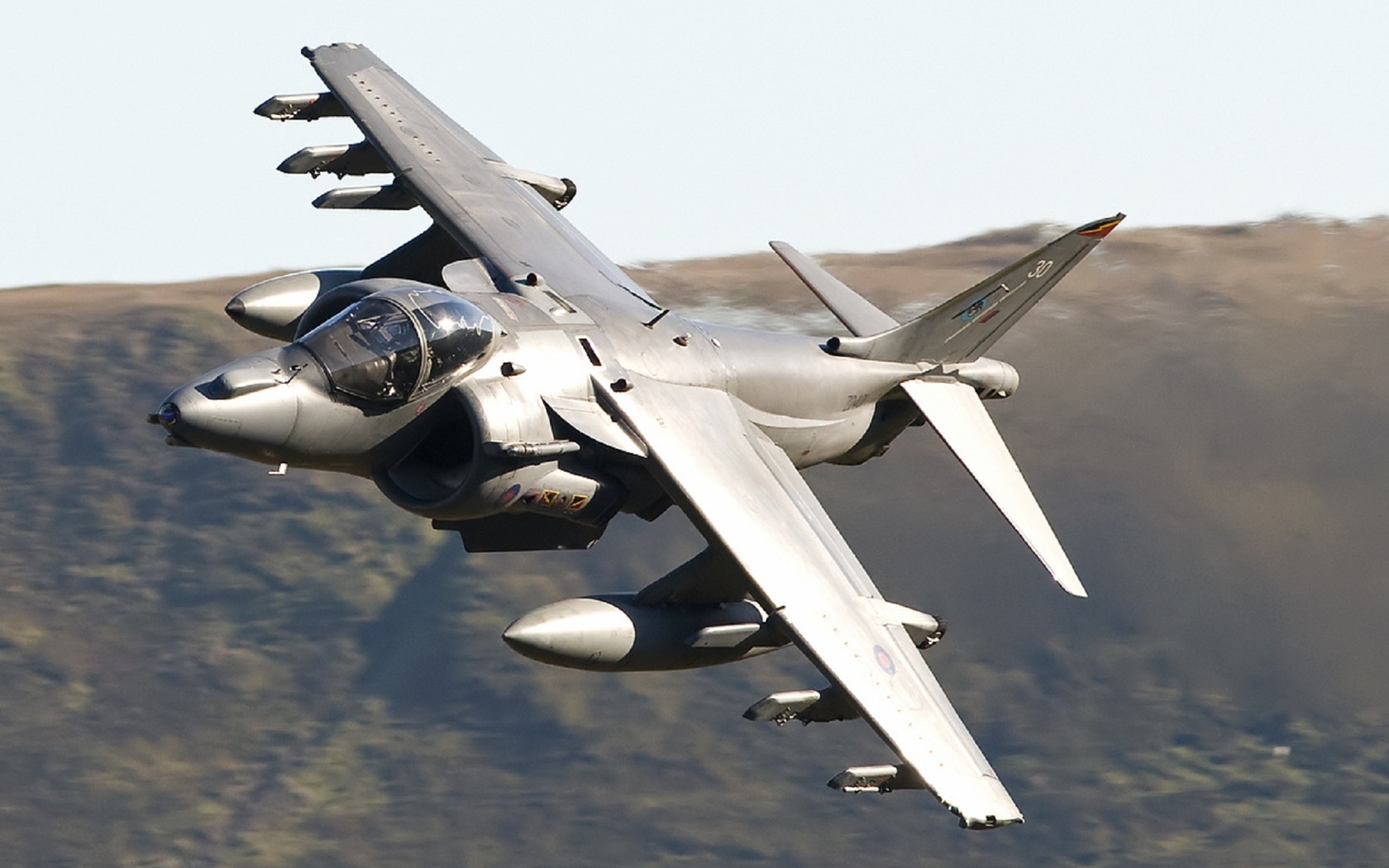 Harrier Gr HD Wallpaper Res