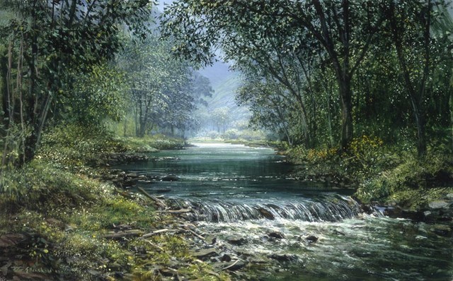 Forest Stream Wall Mural Traditional Wallpaper By Murals Your