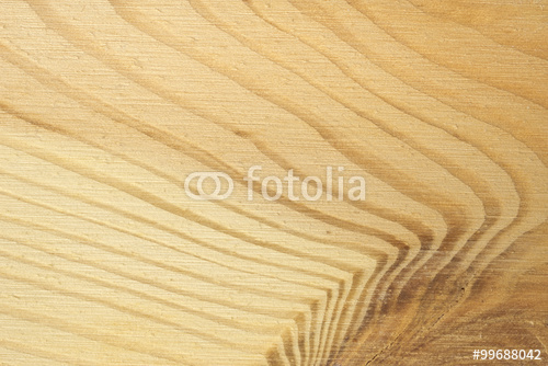 Pine tree texture Wood background light natural pattern Stock
