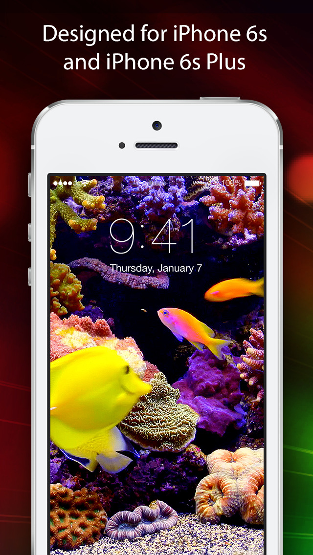 Cool HD Background And Moving Image For iPhone Lifestyle