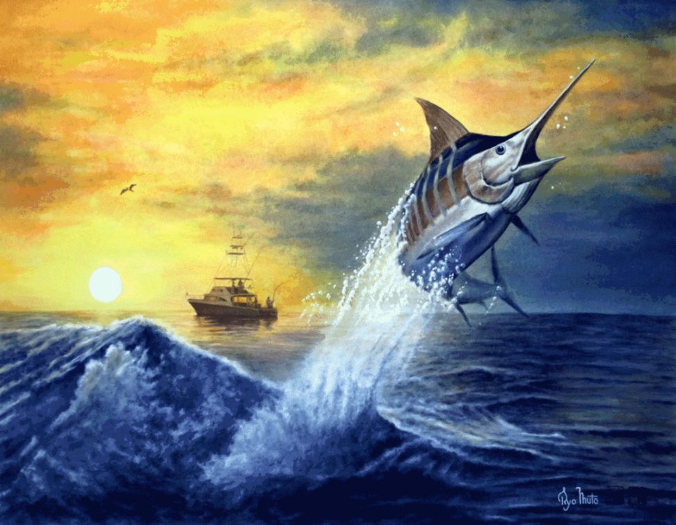 Marlin Fishing Wallpaper Agatha Adkins