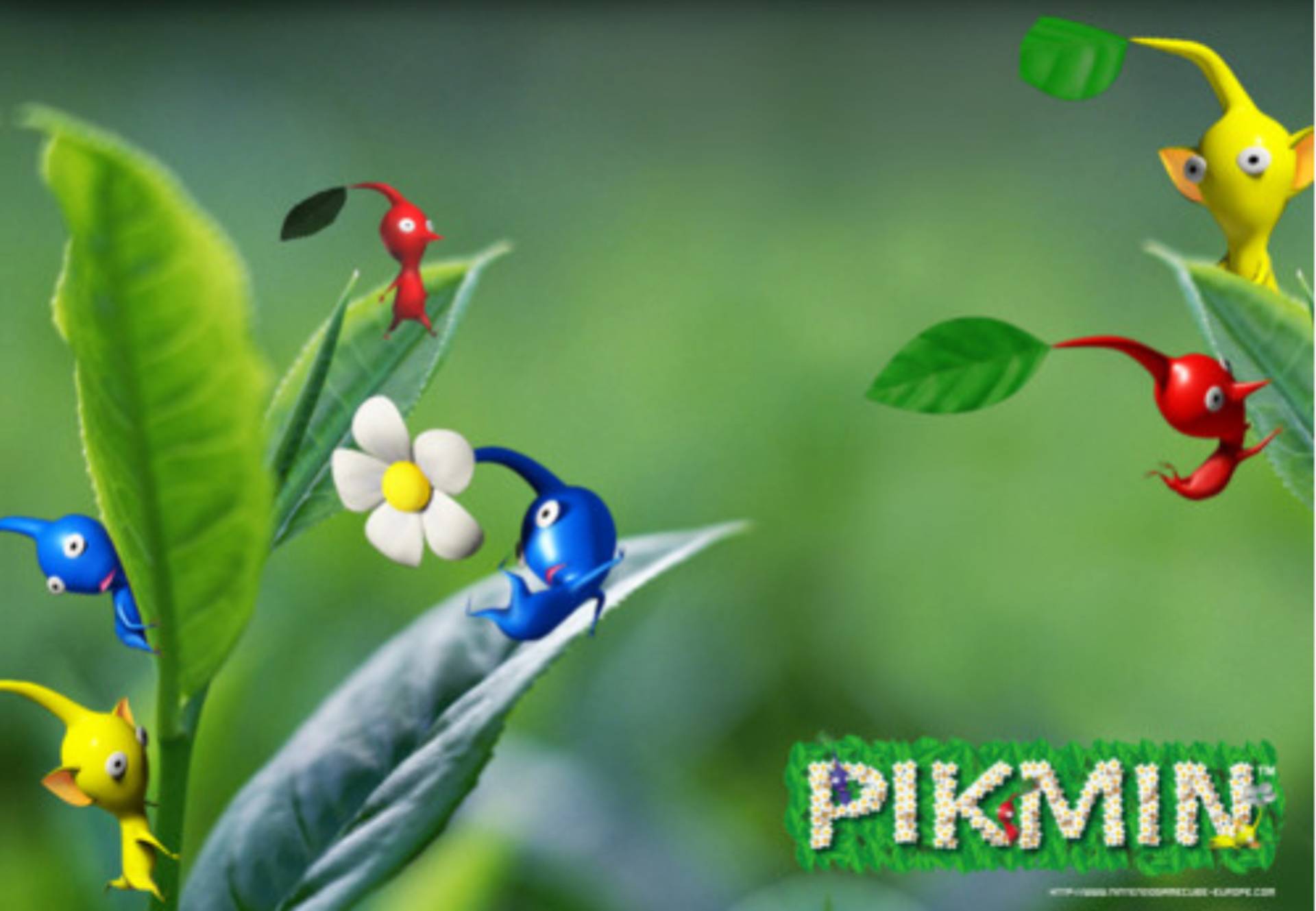 Pikmin Wallpaper In HD Gamingbolt Video Game News Res