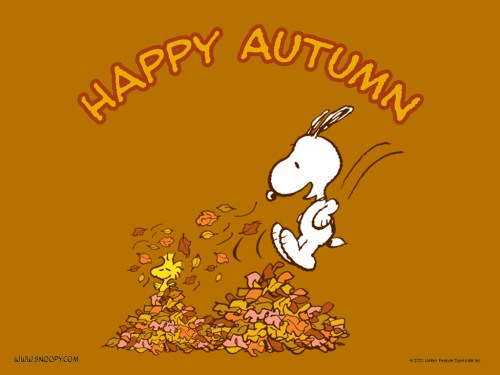 Snoopy Happy Autumn Wallpaper 1st Thanksgiving