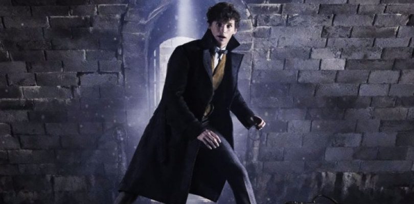 New Fantastic Beasts The Crimes Of Grindelwald Image