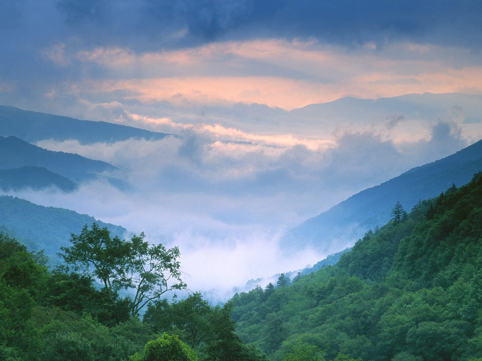 Landscapes Storm Newfound Gap Smoky Mountains National Park Tennessee