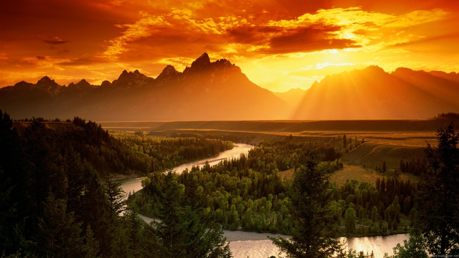 HD Beautiful Wallpaper
