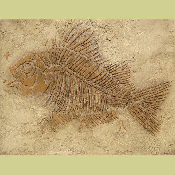 Wall Stencil Prehistoric Fish Fossil by CuttingEdgeStencils