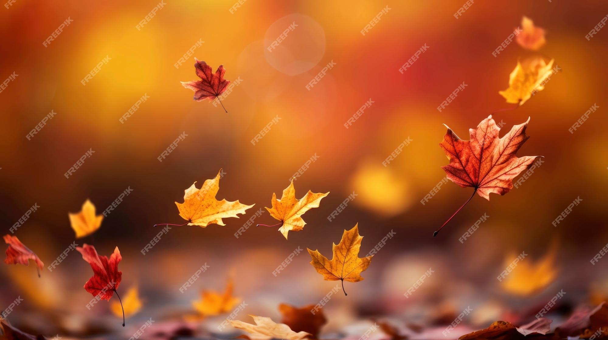 Autumn Wallpaper Image On Pik
