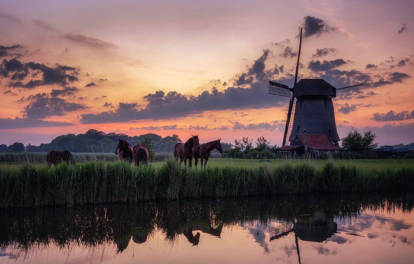 Wallpaper Holland Morning Mist Traditional Windmill Image For