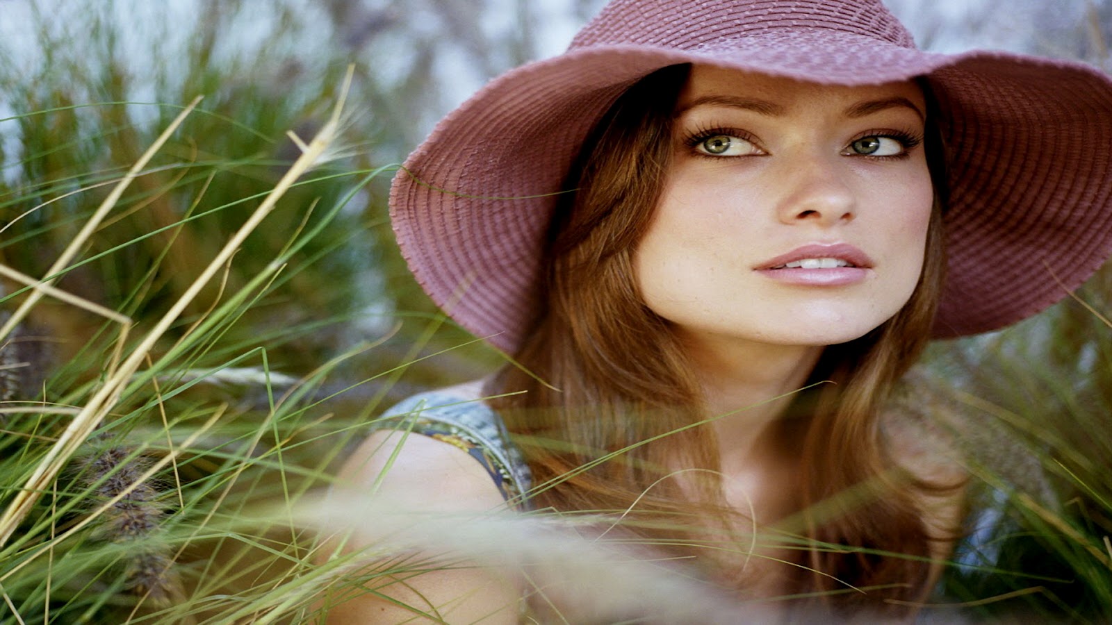 all new pix1 1080p Wallpapers Olivia Wilde