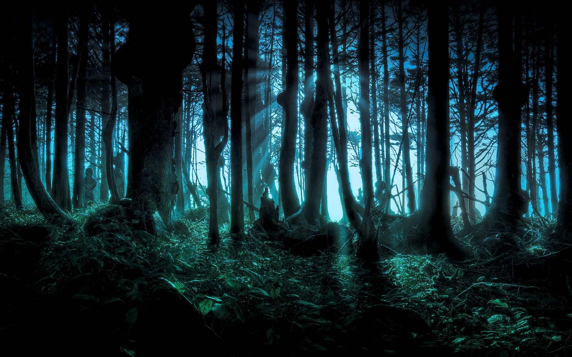 Featured image of post Fantasy Forest Wallpaper 4K free for commercial use high quality images
