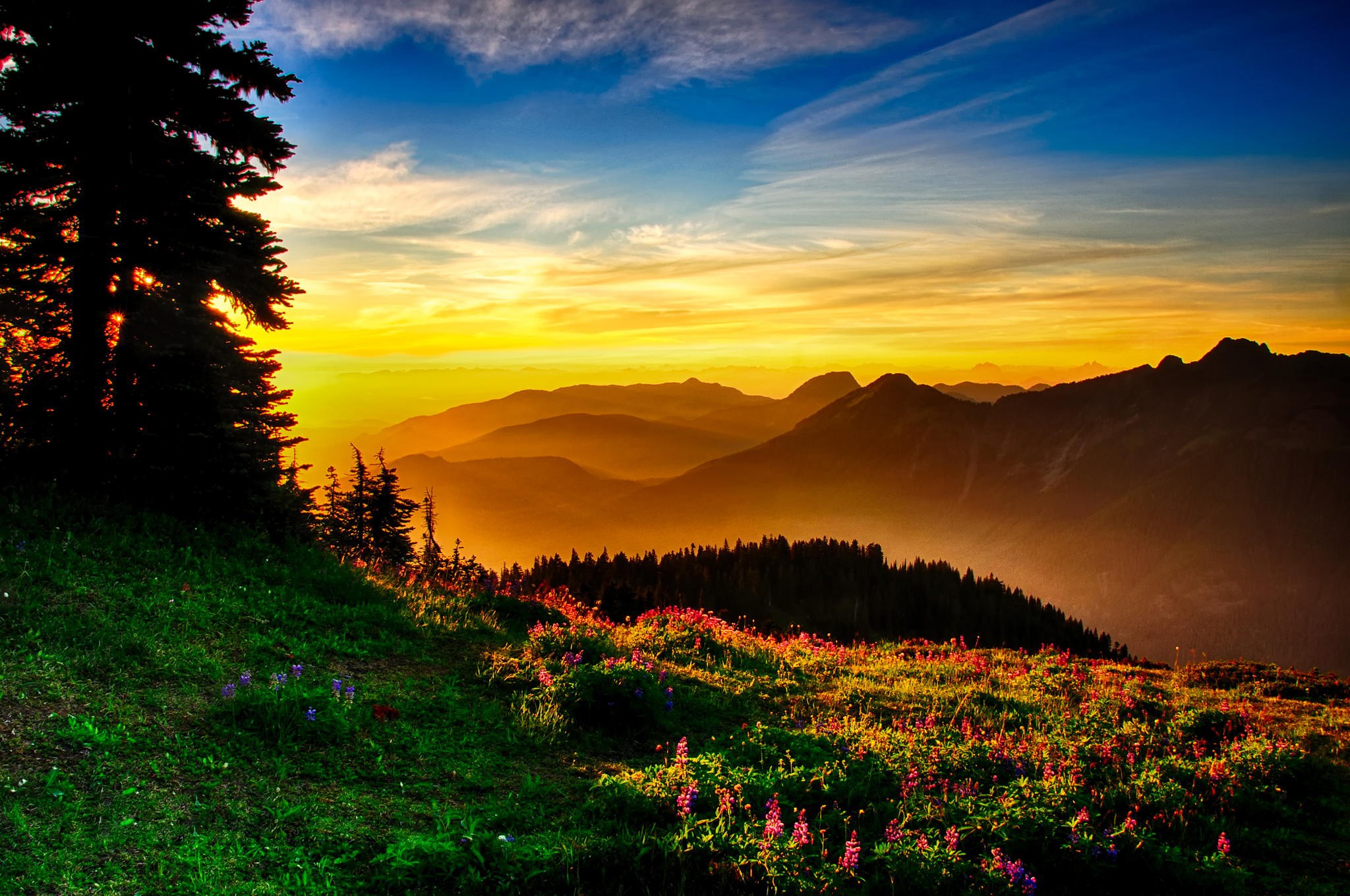 A breathtaking sunset over a mountain range, viewed from a lush green hillside dotted with wildflowers. The warm golden light of the setting sun casts long shadows and bathes the landscape in a vibrant glow
