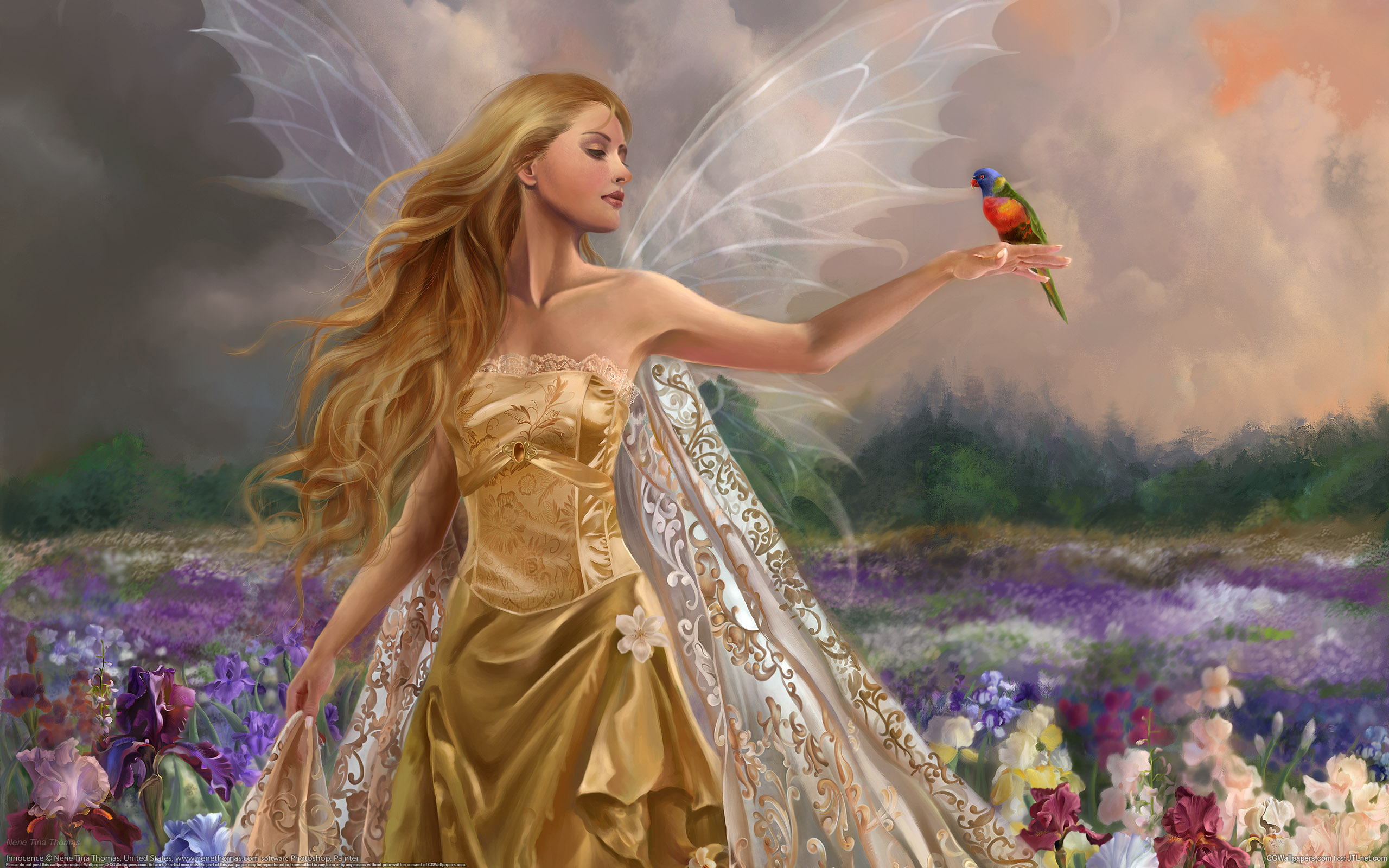 Love Angels Image Beautiful Fairy HD Wallpaper And Background