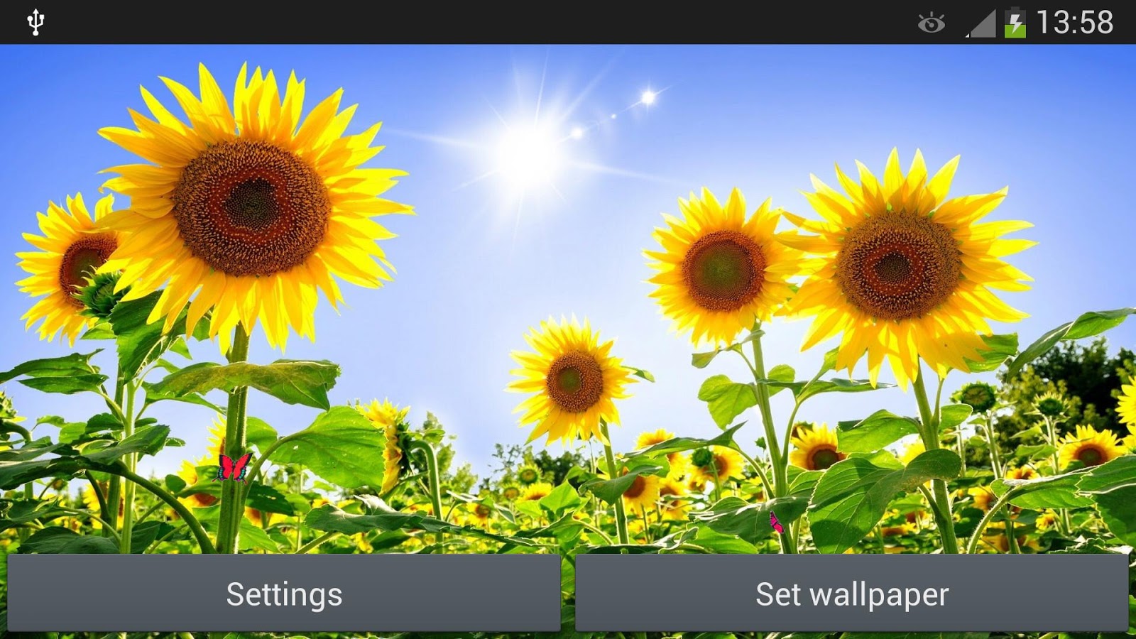 Sunflowers Live Wallpaper Android Apps On Google Play