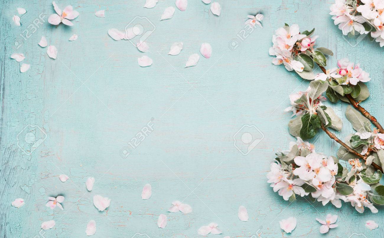 Springtime Background With Beautiful Spring Blossom In Pastel