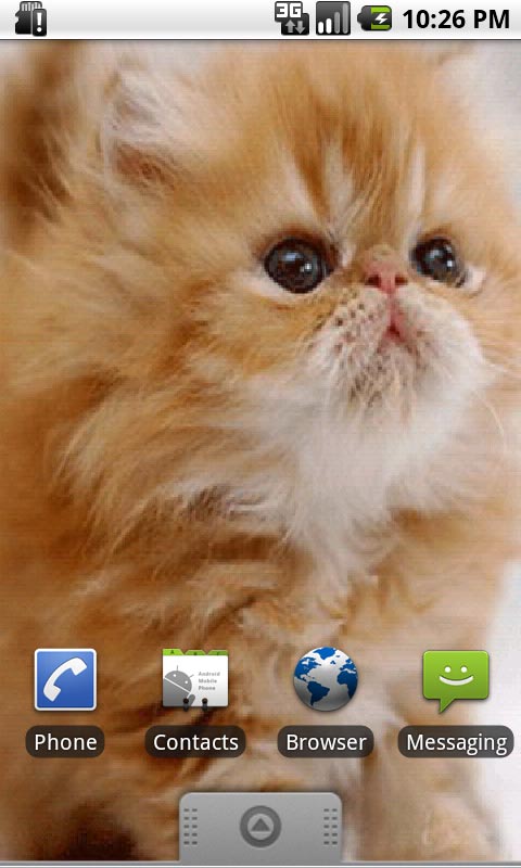 Cute Kitten Live Wallpaper For Your Android Phone