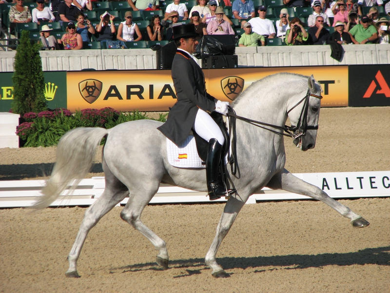 Wallpaper Stallion Arabian Carousel