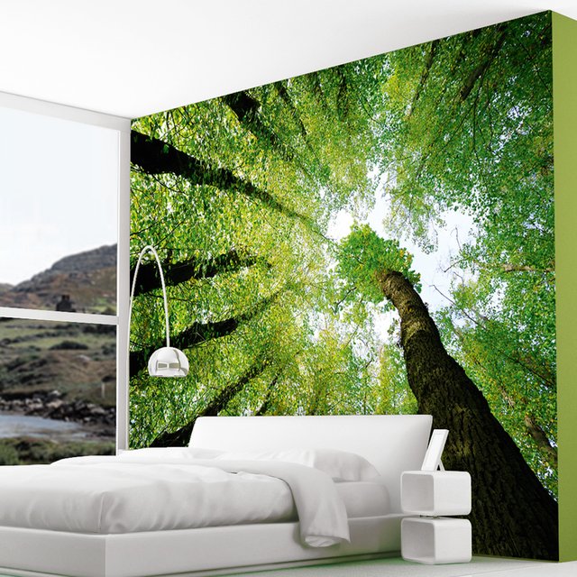 Enchanted Forest Dreams Wall Mural Usd This Massive