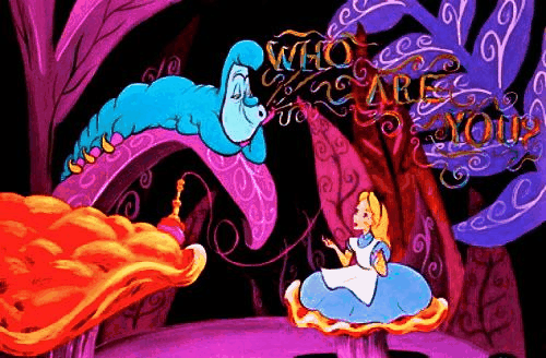 My Gif Trippy Psychedelic Alice In Wonderland Hookah Ocelott