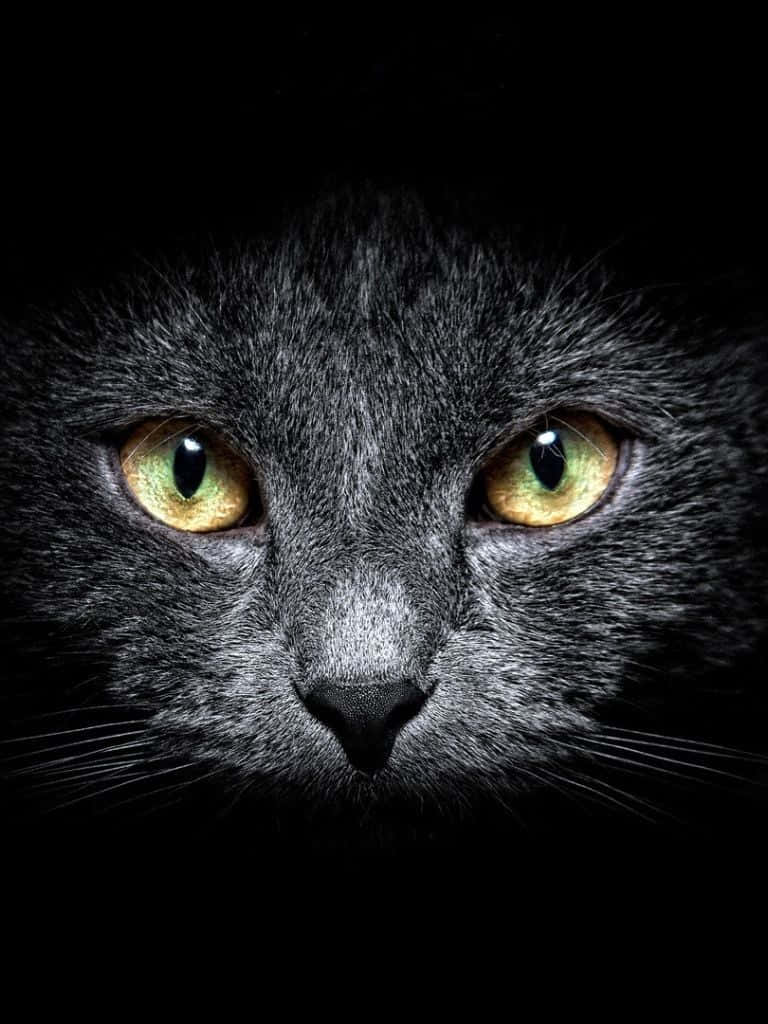 Dark iPad Wallpaper