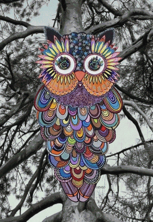 Pin Psychedelic Trippy Owl