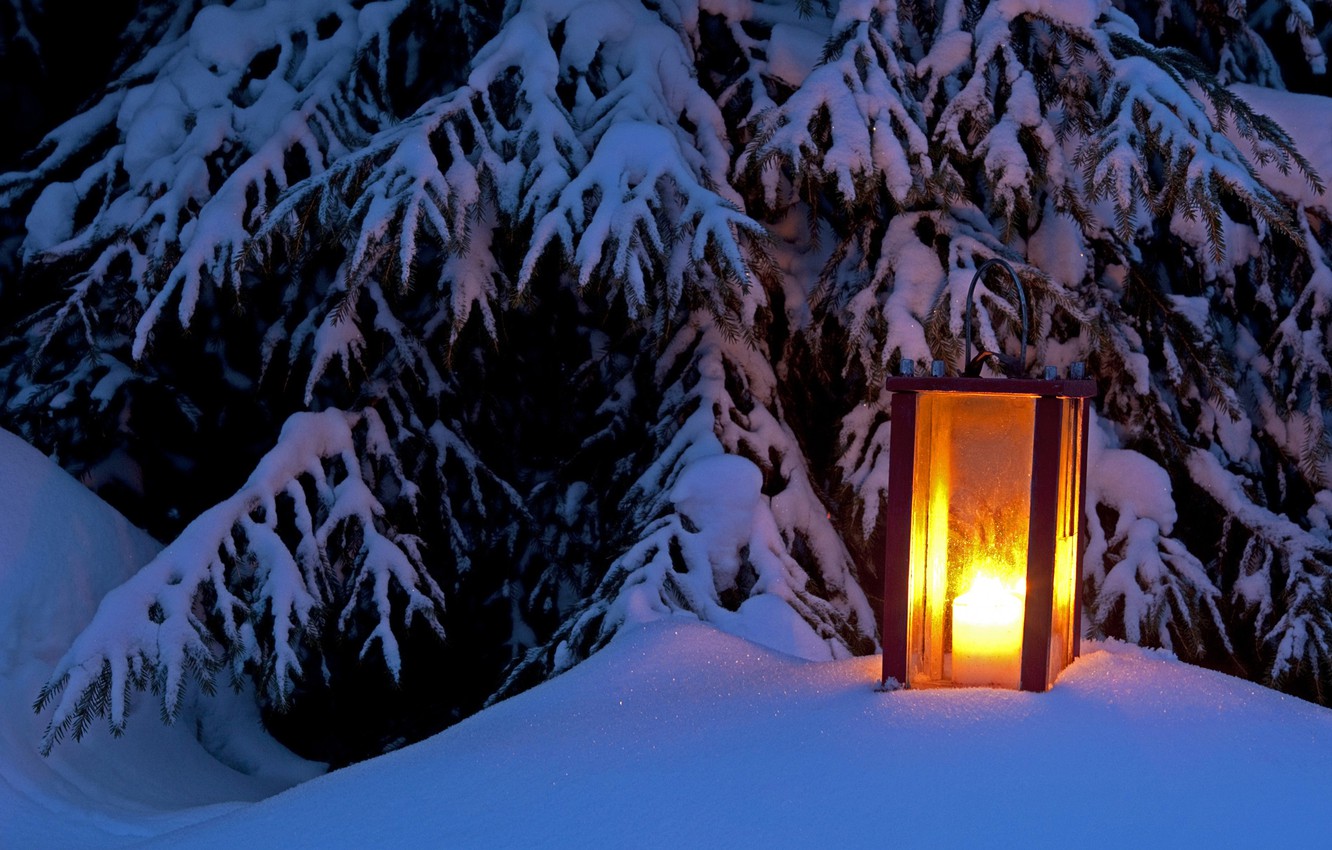 Wallpaper Winter Light Snow Tree Spruce Lantern