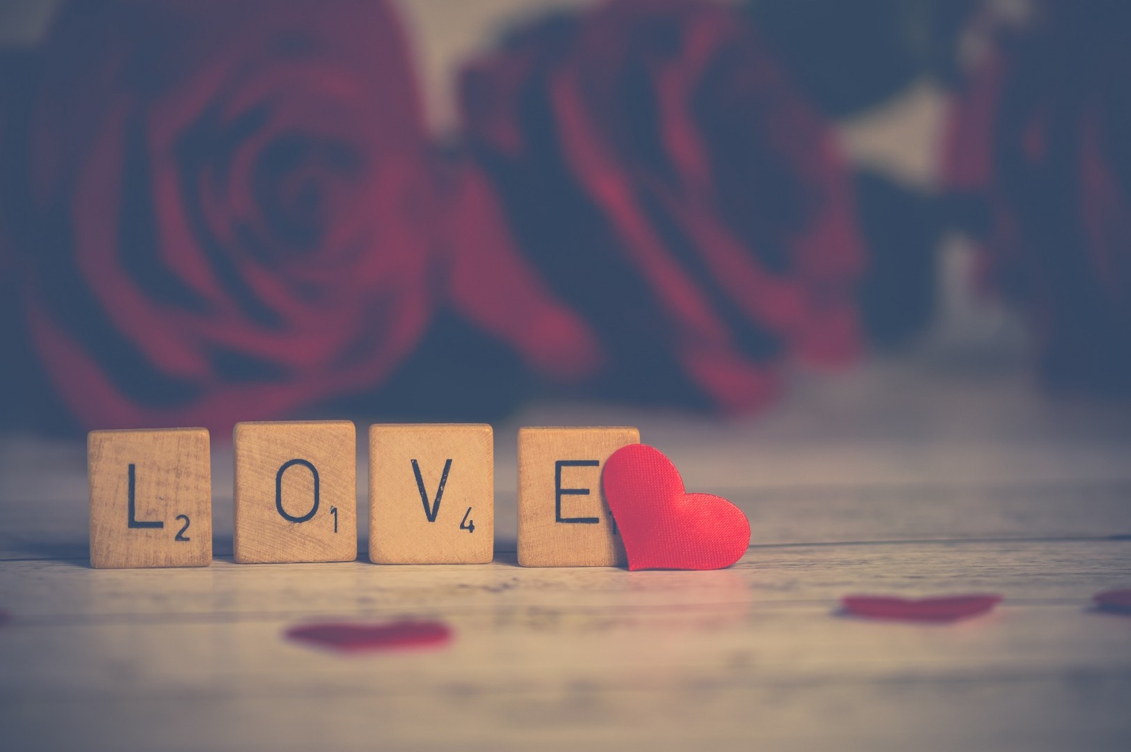 Daily Devotion What S Love Got To Do With It Steemit