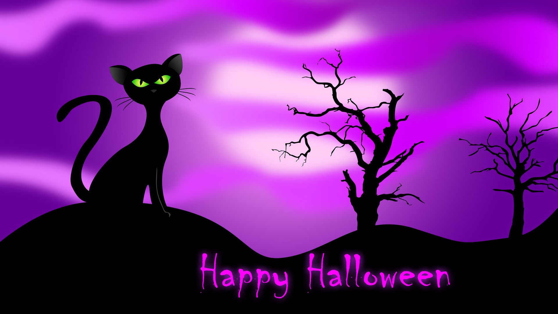 Happy Halloween Cat HD Wallpaper