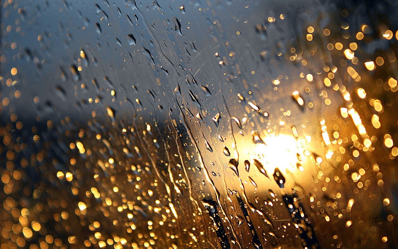 Rain On The Window Wallpaper Pedia